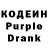 Кодеиновый сироп Lean Purple Drank twister248