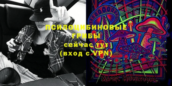 хмурый Алексеевка