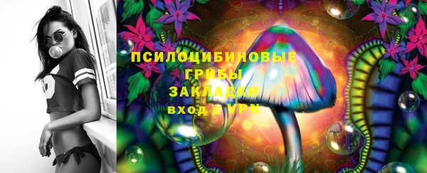 а пвп мука Алзамай