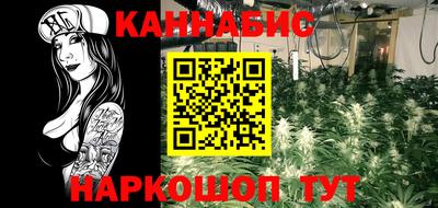 трава Кандалакша