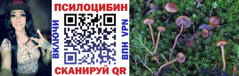 Галлюциногенные грибы ЛСД наркотики hydra сайт Тула
