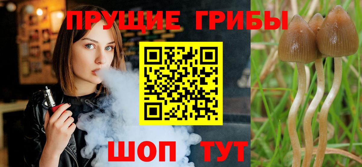 Галлюциногенные грибы MAGIC MUSHROOMS  Вход с VPN  Тула 