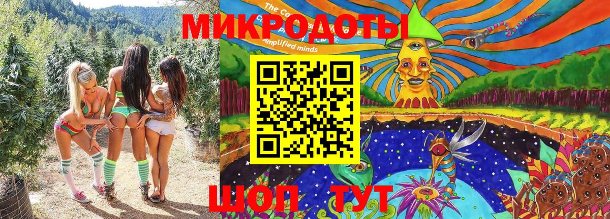 Галлюциногенные грибы Psilocybe Тула